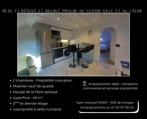 Appartement T3 meublé tout proche centre-ville de Nantes